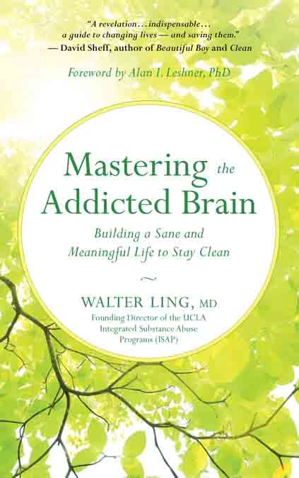 Mastering The Addicted Brain Building A Sane And Meaningful Life To Stay Clean - Coach Foundation