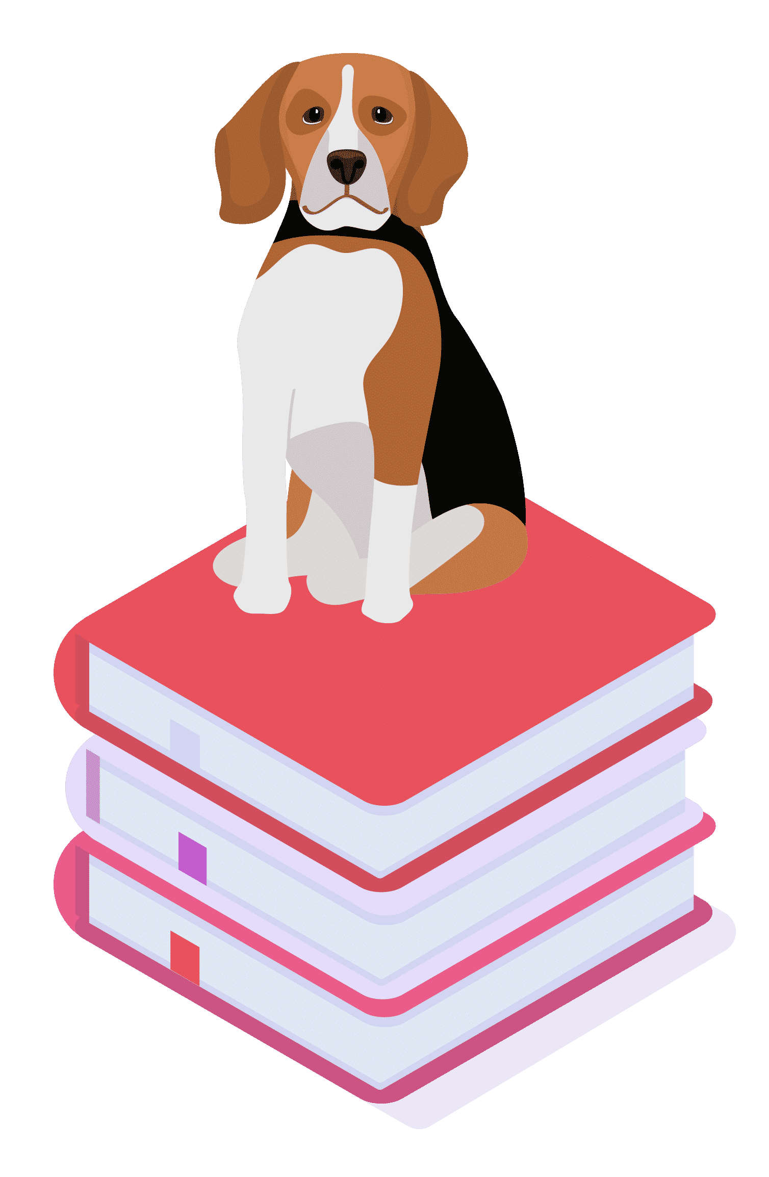 Case Studies - Coach Foundation