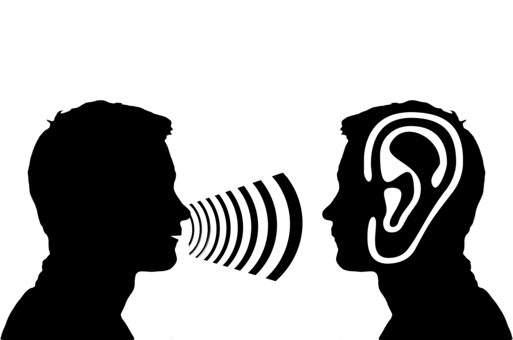 ear, auricle, listen