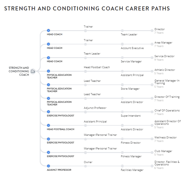 Strength And Conditioning Coach Career Paths - Coach Foundation