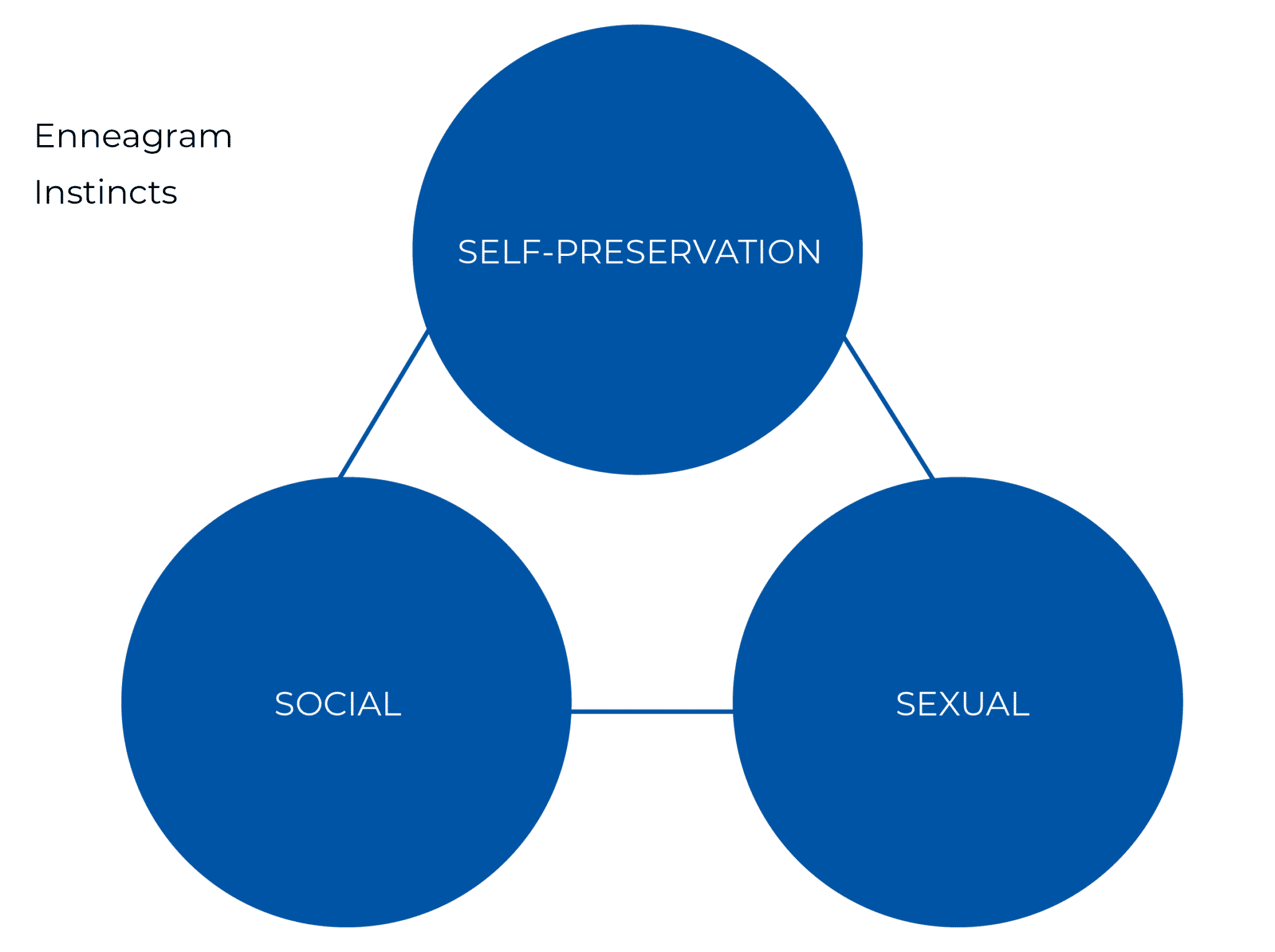 Instincts - Coach Foundation