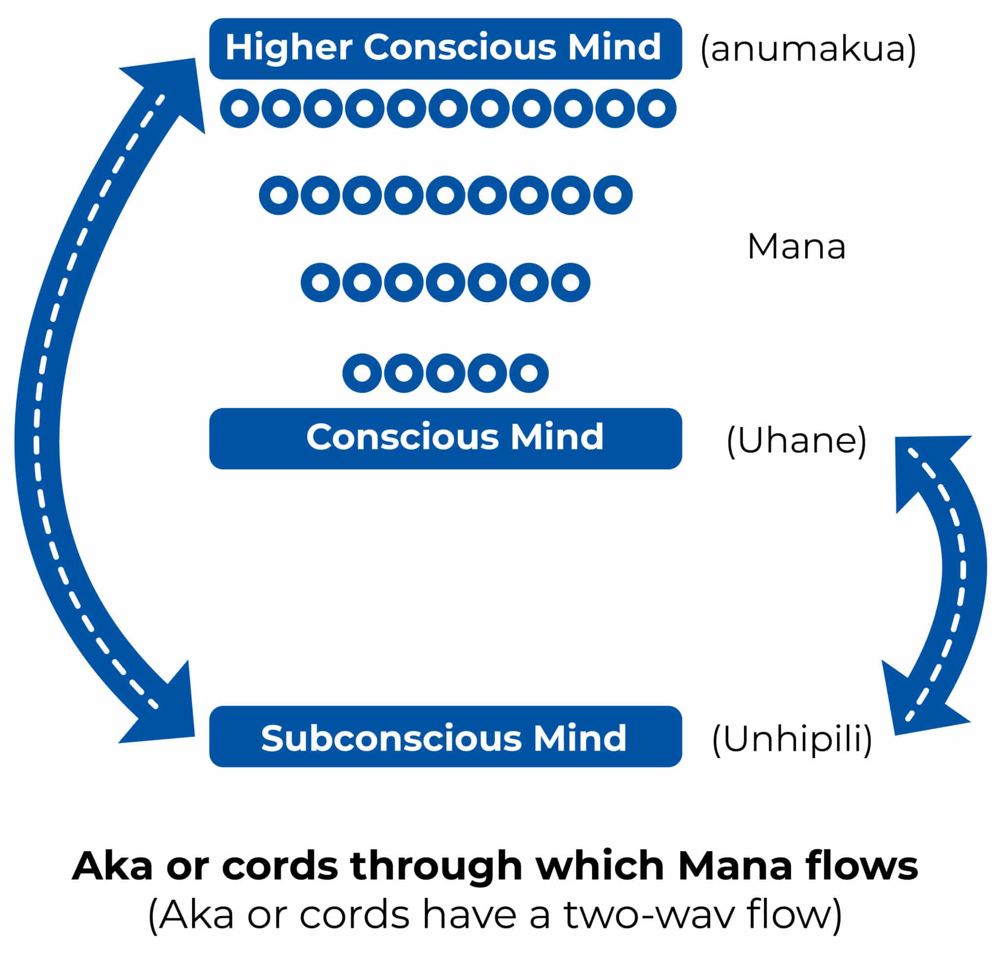 THE INTERRELATIONSHIPS OF THE THREE MINDS