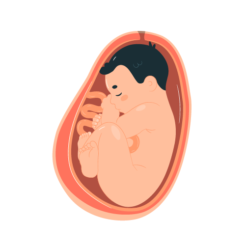 How To Become A Birth Coach? - Coach Foundation