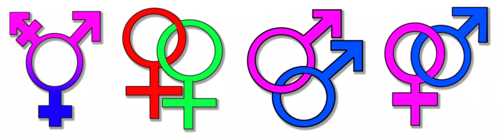 sex, gay, transsexual