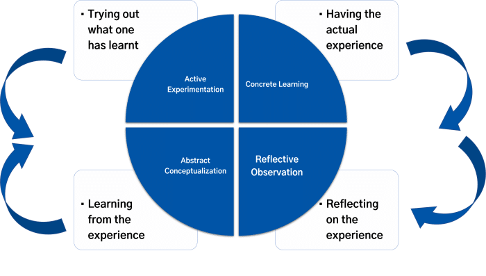 Kolb S Cycle Of Learning - Coach Foundation
