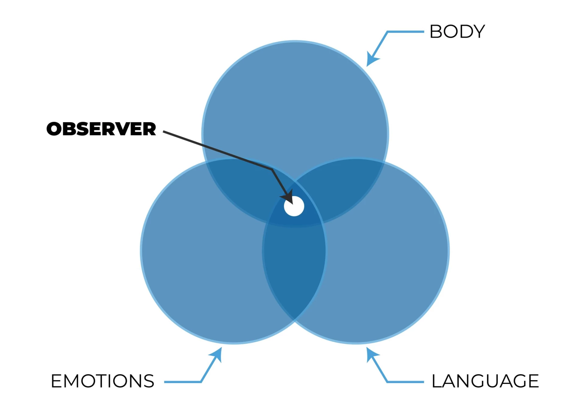 Body, Emotion, Language (BEL) Model - Coach Foundation