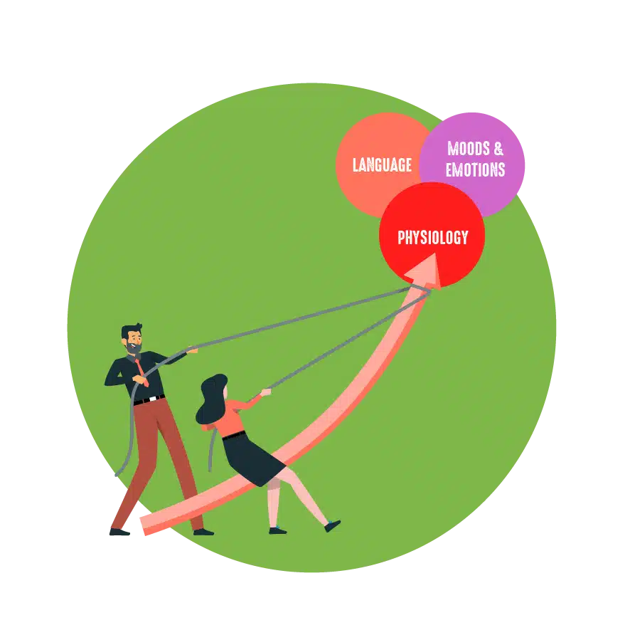 Contents - Coach Foundation