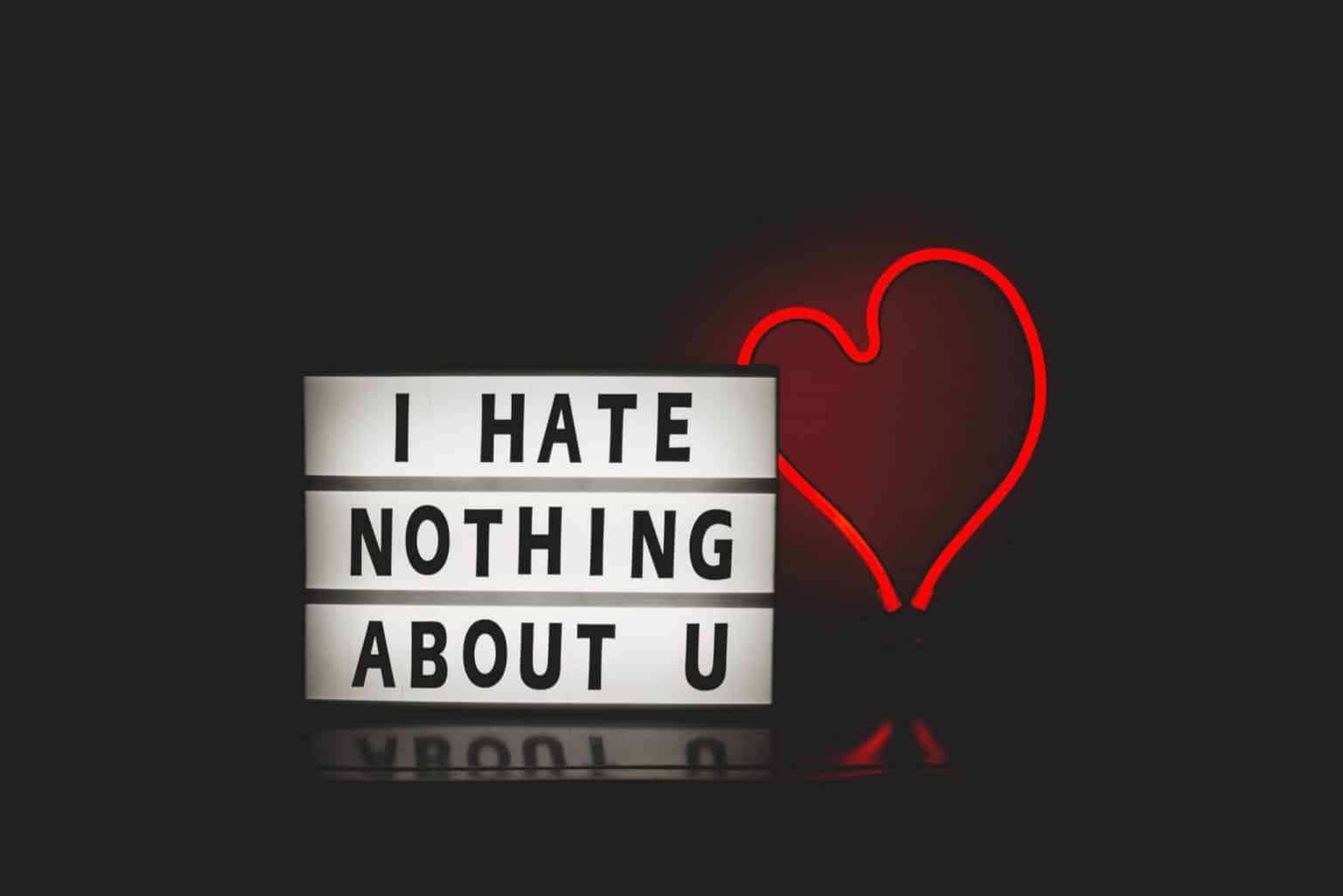 I Hate Nothing About You With Red Heart Light 887353 1536X1025 1 - Coach Foundation